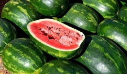 吃瓜素材视频下载免费版,免费下载吃瓜素材视频，轻松打造热门短视频！